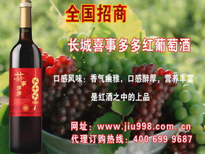 世界酒類巡禮 探索全球主要酒類產(chǎn)品庫(kù)